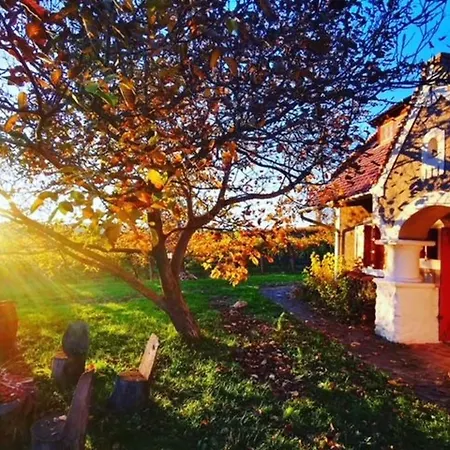 Am Weinberg By Interhome * Köveskál